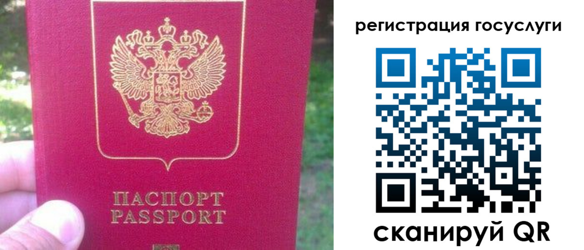 временная прописка в Острове